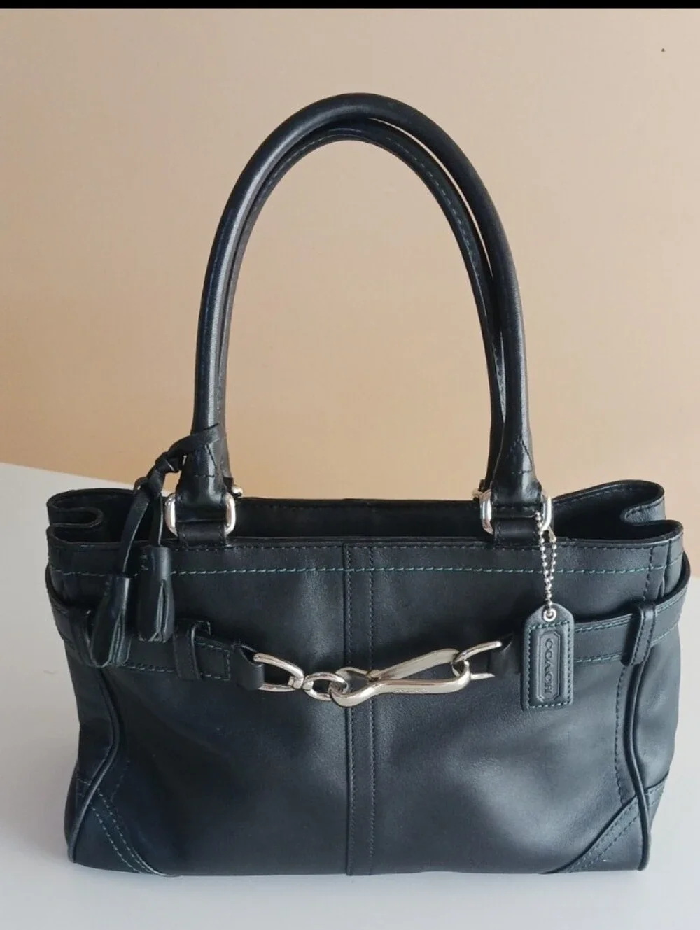 Vintage Coach Hampton Bag